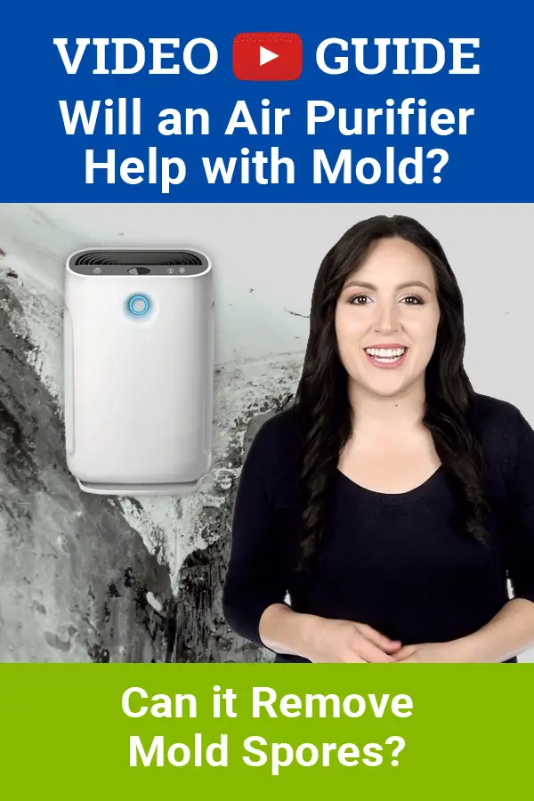 Wondering will an air purifier help with mold? Or can an ...