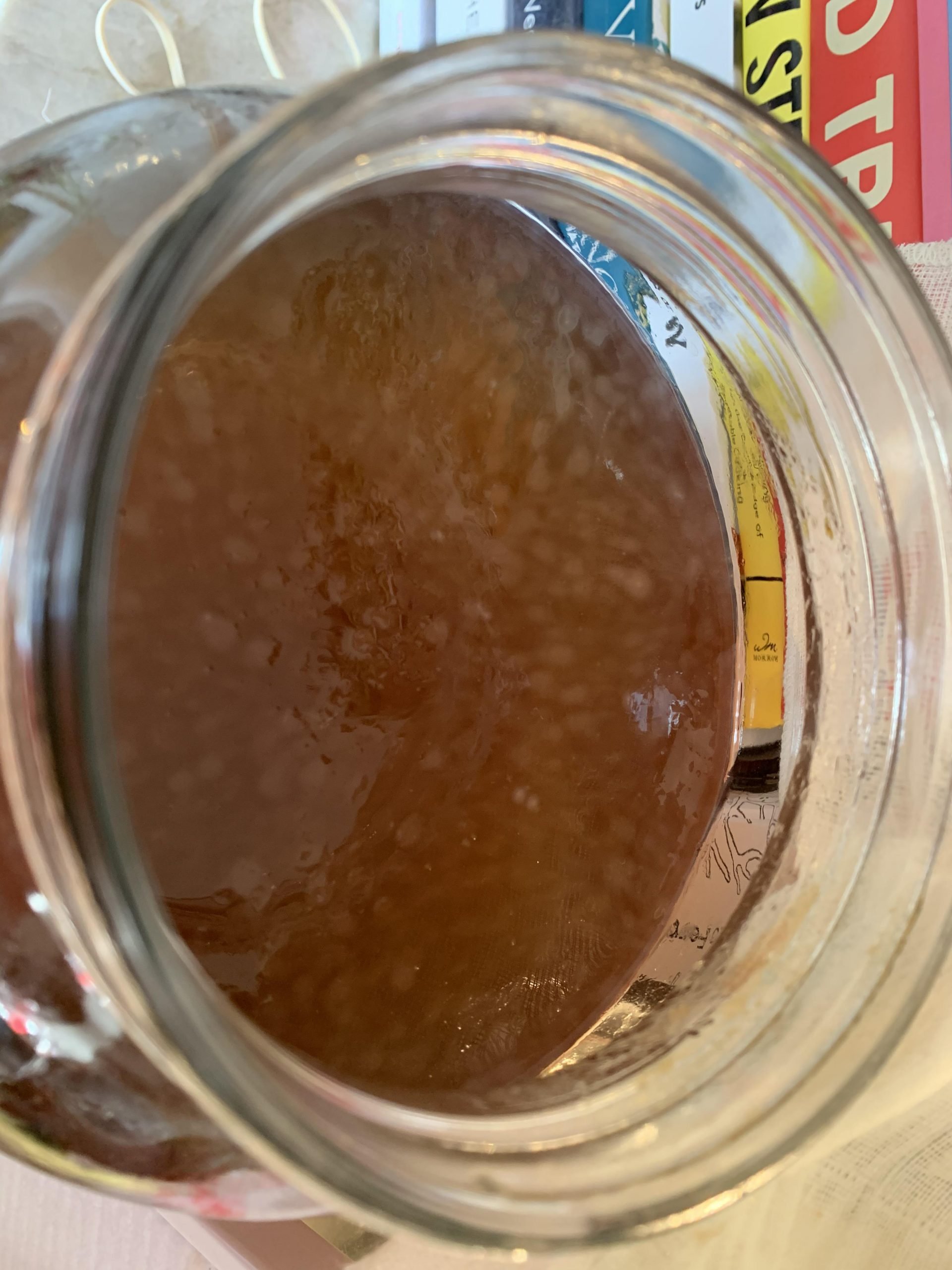 Yet another: is it mold or scoby? Post : Kombucha