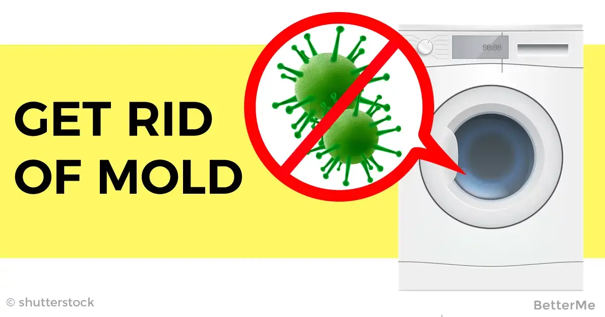 You Can Get Rid Of Mold In Your Washing Machine With Only ...