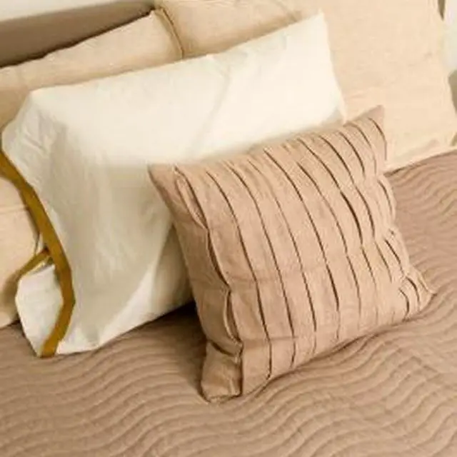 You can safely remove mold on your pillows.