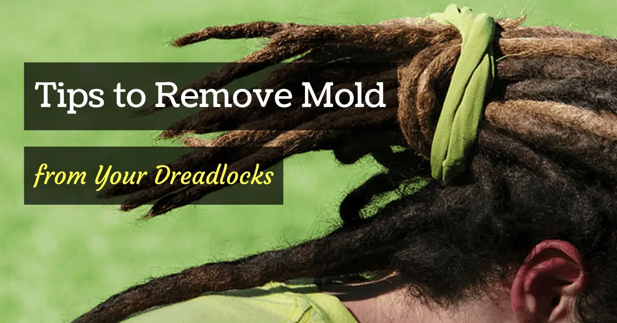 Your Guide on How to Remove Mold from Your Dreadlocks in 2021