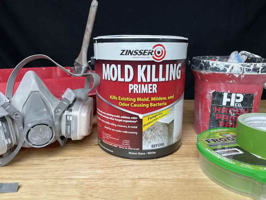 Zinsser Mold Killing Primer Review: Does It Work?